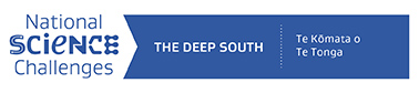 The Deep South Callenge Logo